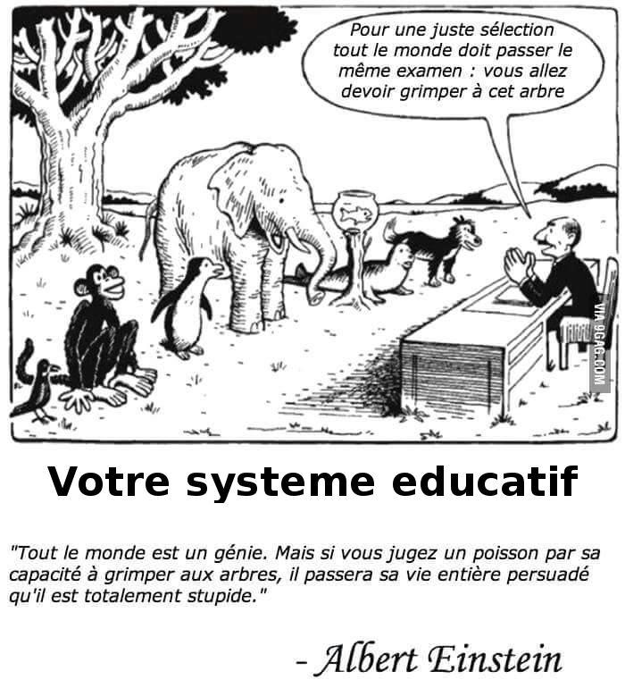 Stupide test d'aptitude scolaire